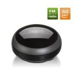 Колонки MICROLAB MD-112 mini USB (2Bт, 30-20000Гц,1RMS, SDcard, FM-radio)